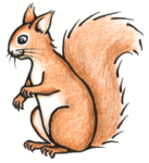 squirrel-clip-art-r_212